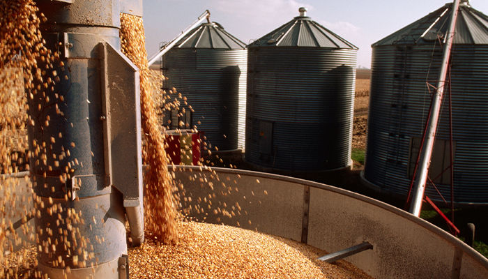 Silos e armazém de grãos em operação ao entardecer